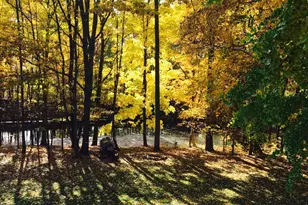 22649 N Dixboro Rd, South Lyon, MI 48178 - Photo 41