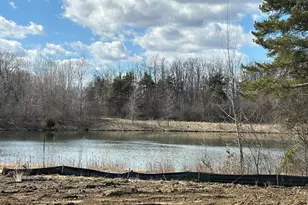 2924 Sheridan Cir, Jackson, MI 49201 - Photo 27