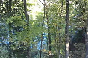 4468 Teal Ln, Newaygo, MI 49337 - Photo 45