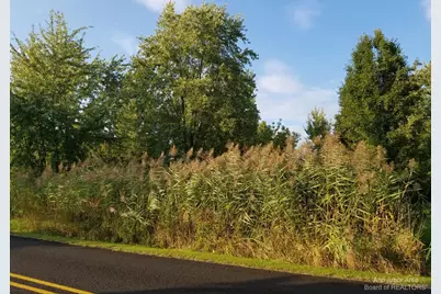 7966 Kingsley Drive, Onsted, MI 49265 - Photo 3