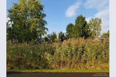 7966 Kingsley Drive, Onsted, MI 49265 - Photo 1