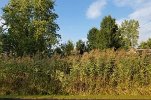 7966 Kingsley Dr, Onsted, MI 49265 - Photo 1