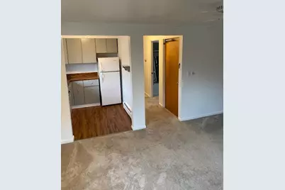 220 W Mosley Street, Ann Arbor, MI 48103 - Photo 9