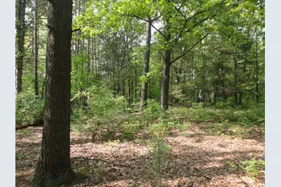 1920 S 15th Street, Niles, MI 49120 - Photo 9