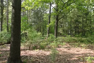 1920 S 15th St, Niles, MI 49120 - Photo 9