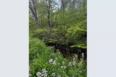 5650 Morrison Lake Road, Saranac, MI 48881 - Photo 9