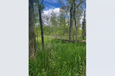 5650 Morrison Lake Road, Saranac, MI 48881 - Photo 7