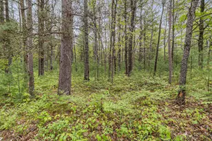 V/L East Pomeroy Springs Rd, Irons, MI 49644 - Photo 7