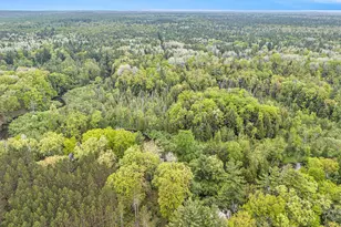 V/L East Pomeroy Springs Rd, Irons, MI 49644 - Photo 19