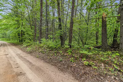 V/L East Pomeroy Springs Rd, Irons, MI 49644 - Photo 13