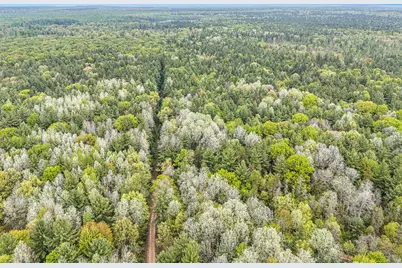 V/L East Pomeroy Springs Rd, Irons, MI 49644 - Photo 21