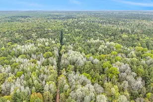 V/L East Pomeroy Springs Rd, Irons, MI 49644 - Photo 21