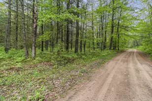 V/L East Pomeroy Springs Rd, Irons, MI 49644 - Photo 15