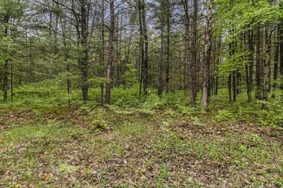 V/L East Pomeroy Springs Rd, Irons, MI 49644 - Photo 11