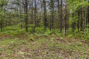 V/L East Pomeroy Springs Rd, Irons, MI 49644 - Photo 11