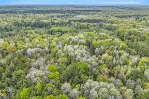 V/L East Pomeroy Springs Rd, Irons, MI 49644 - Photo 23