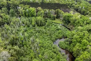 V/L East Pomeroy Springs Rd, Irons, MI 49644 - Photo 5