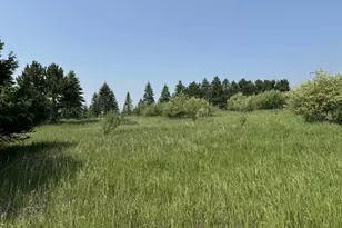 6294 100th Ave, Evart, MI 49631 - Photo 169