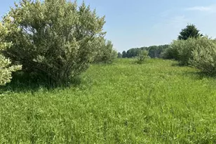 6294 100th Ave, Evart, MI 49631 - Photo 155