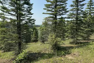 6294 100th Ave, Evart, MI 49631 - Photo 165