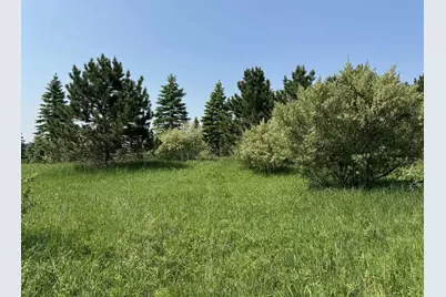 6294 100th Avenue, Evart, MI 49631 - Photo 157