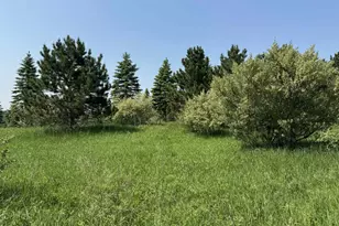 6294 100th Ave, Evart, MI 49631 - Photo 157