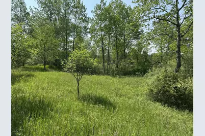 6294 100th Avenue, Evart, MI 49631 - Photo 161