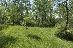 6294 100th Ave, Evart, MI 49631 - Photo 161