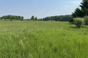 6294 100th Ave, Evart, MI 49631 - Photo 171