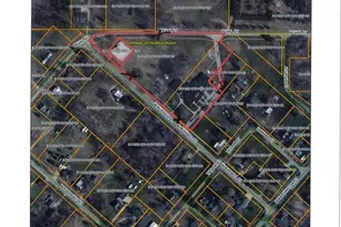 306 W Russell St, Hubbardston, MI 48845 - Photo 87