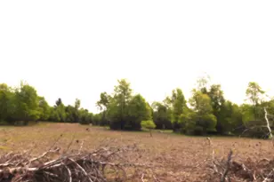 15880 Potter Rd, Kaleva, MI 49645 - Photo 1