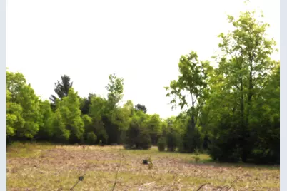 15880 Potter Road #B26.82, Kaleva, MI 49645 - Photo 3