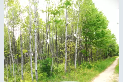 15880 Potter Road #B26.82, Kaleva, MI 49645 - Photo 7