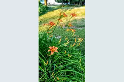 30170 Beeson Street, Dowagiac, MI 49047 - Photo 49