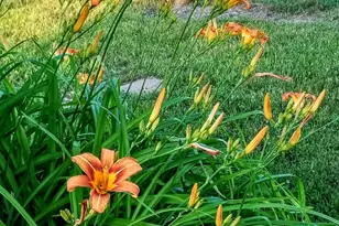 30170 Beeson St, Dowagiac, MI 49047 - Photo 49