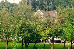 30170 Beeson St, Dowagiac, MI 49047 - Photo 53