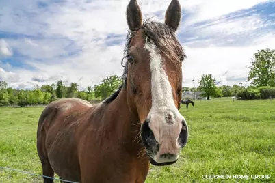 V/L E M-79 Highway, Nashville, MI 49073 - Photo 31