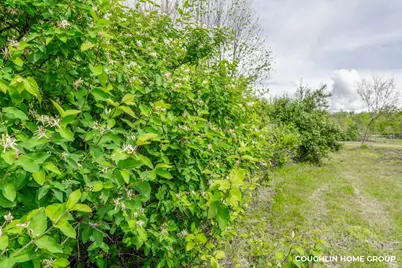 V/L E M-79 Highway, Nashville, MI 49073 - Photo 19