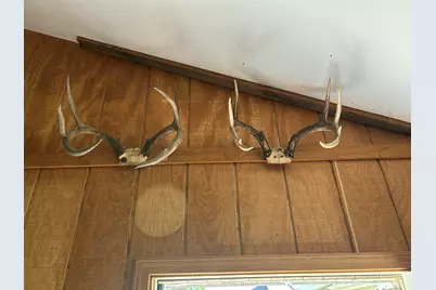 2347 W W. Dowling Road Road, Delton, MI 49046 - Photo 61