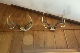 2347 W W Dowling Road Rd, Delton, MI 49046 - Photo 61