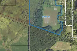 9159 Moreland Rd, Jerome, MI 49249 - Photo 23