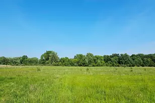 9159 Moreland Rd, Jerome, MI 49249 - Photo 61