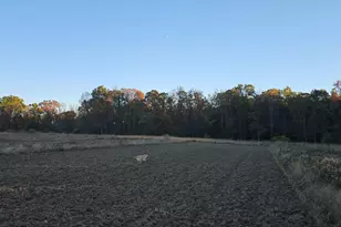 9159 Moreland Rd, Jerome, MI 49249 - Photo 75