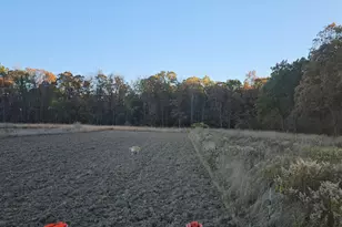 9159 Moreland Rd, Jerome, MI 49249 - Photo 15