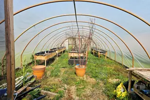 9159 Moreland Rd, Jerome, MI 49249 - Photo 47