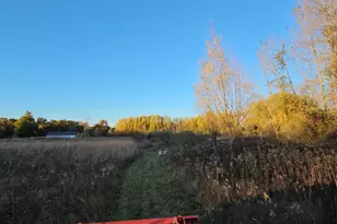 9159 Moreland Rd, Jerome, MI 49249 - Photo 71