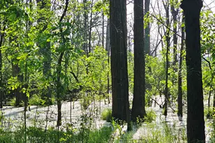 9159 Moreland Rd, Jerome, MI 49249 - Photo 41