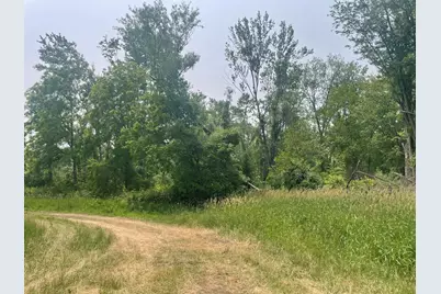 Dunks Road, Sherwood, MI 49089 - Photo 5
