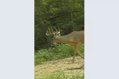 Dunks Road, Sherwood, MI 49089 - Photo 9