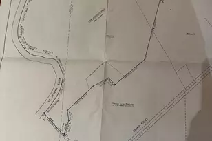 Dunks Rd, Sherwood, MI 49089 - Photo 1